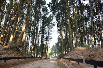 En este lugar de la costa argentina permite comprar lotes financiados en pesos