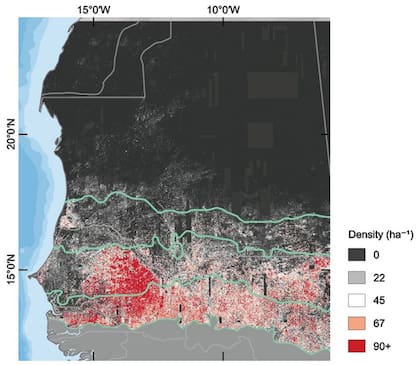 En este mapa se puede ver la cantidad de árboles por hectárea en la zona estudiada