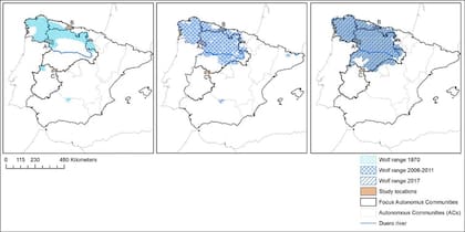 En este momento los lobos abarcan una extensión en España que es casi el doble de que la ocupaban en 1970