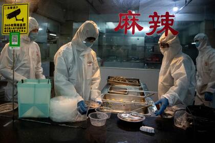 En Europa, piden que los empleados trabajen de forma remota; precauciones en EE.UU.