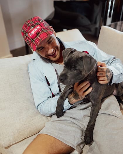 En febrero, Payne presentó en redes sociales a su perro Stanley (Foto: Instagram @liampayne)