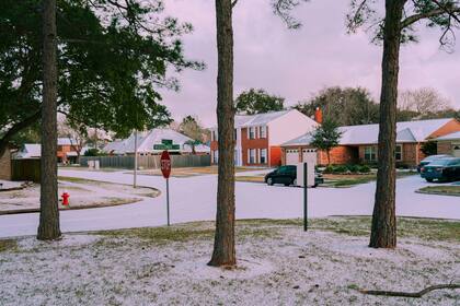 En Florida, las nevadas no son tan comunes como en otras regiones de EE.UU.