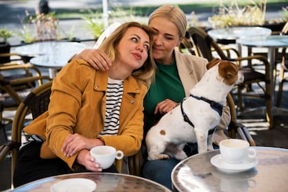 En Florida, los perros de servicio pueden ingresar a restaurantes; las mascotas dependen de reglas locales