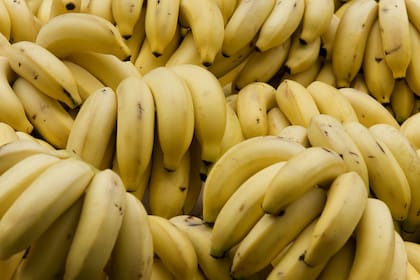 En Formosa la capacidad de producción de este año se redujo alrededor del 55%