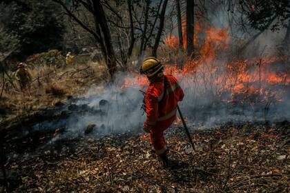 Con calor, viento norte y extrema sequía, la lucha contras las llamas sigue en Córdoba.
