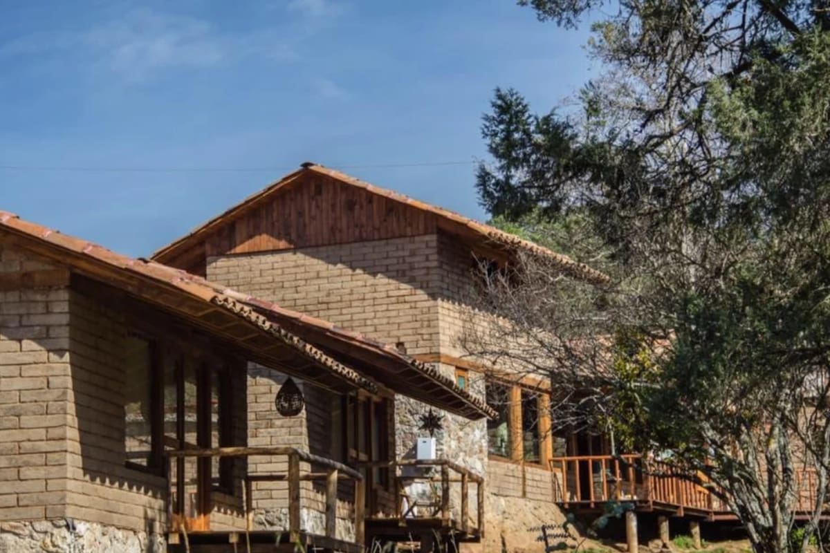 En fotos, en un bosque de Puebla crearon cabañas inspiradas en mujeres