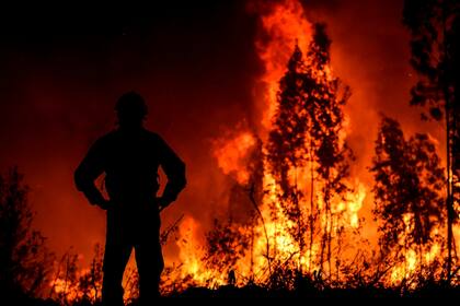 En fotos: más de mil bomberos luchan contra un incendio enorme en Portugal