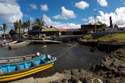 En las orillas de la laguna Rano Raraku, uno de los tres depósitos superficiales de agua de la isla, trabajadores de la agencia gubernamental CONAF extraen a mano plantas invasoras - en su mayoría procedentes del continente - que dañan el sensible ecosistema al ser dispersados por el paso de animale