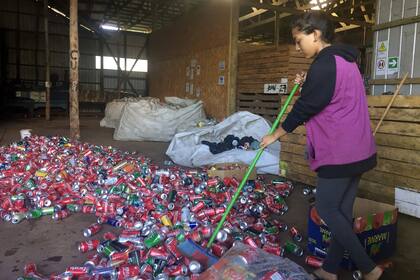 Miles de latas de gaseosa son compactadas diariamente