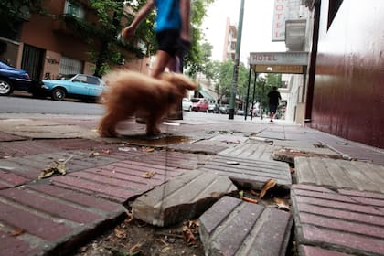 En Gascón al 800, hay más baldosas quebradas que sanas