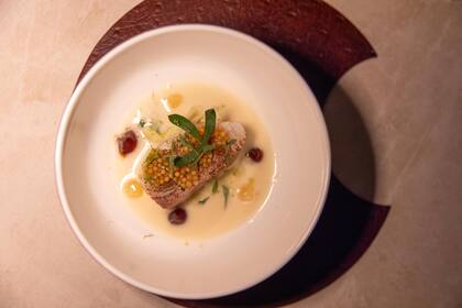 En Gemellus, corvina al vapor con hongos, uvas en escabeche y laurel.