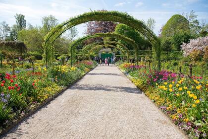 En Giverny, cerca de París, los jardines de Monet, colmados de plantas y flores que dejó crecer libremente 
como los famosos nenúfares, fueron su fuente de inspiración