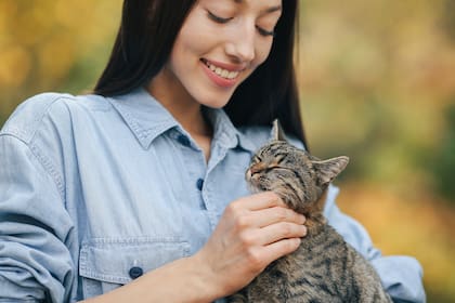 En Grecia, miles de felinos sobreviven en las calles mediante la caridad de residentes y turistas (Foto: Freepik)