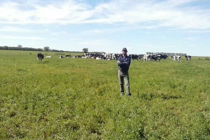 En Gualeguay, Entre Ríos, Alesio Quattrochi decidió vender 28 vacas en producción por el mal momento del negocio lechero