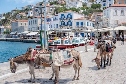 En Hidra, Grecia, prohibieron los autos y todos se mueven a caballo o en burro