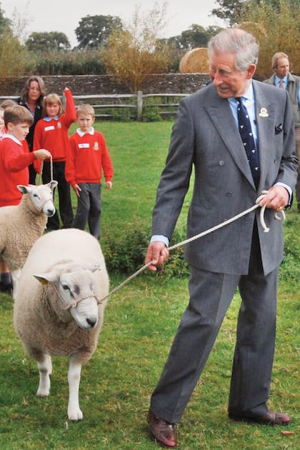 En Home Farm, su granja orgánica ubicada en Highgrove, Carlos les muestra una oveja a los alumnos de la escuela primaria Avening (2007).