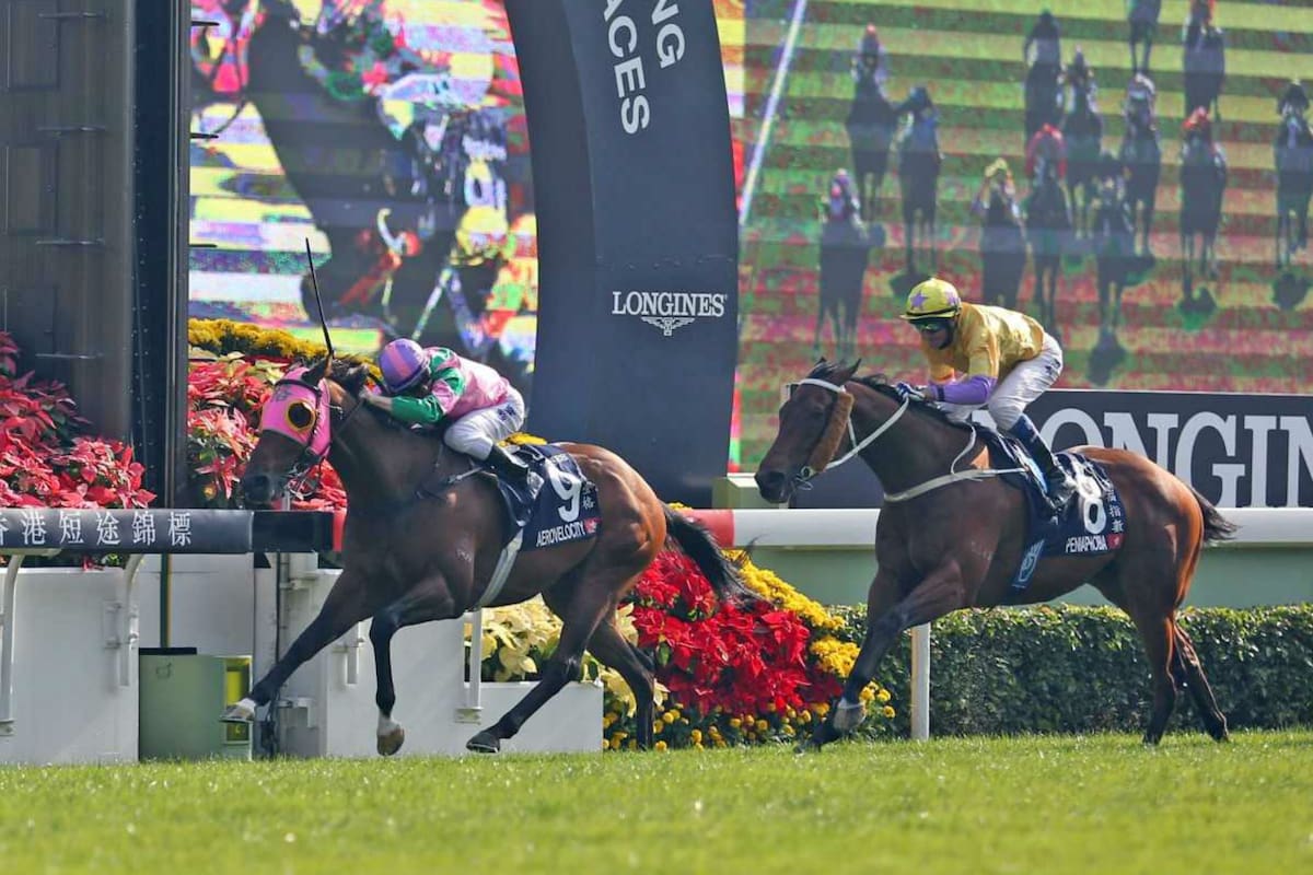 En Hong Kong también hay fervor por las carreras de caballos