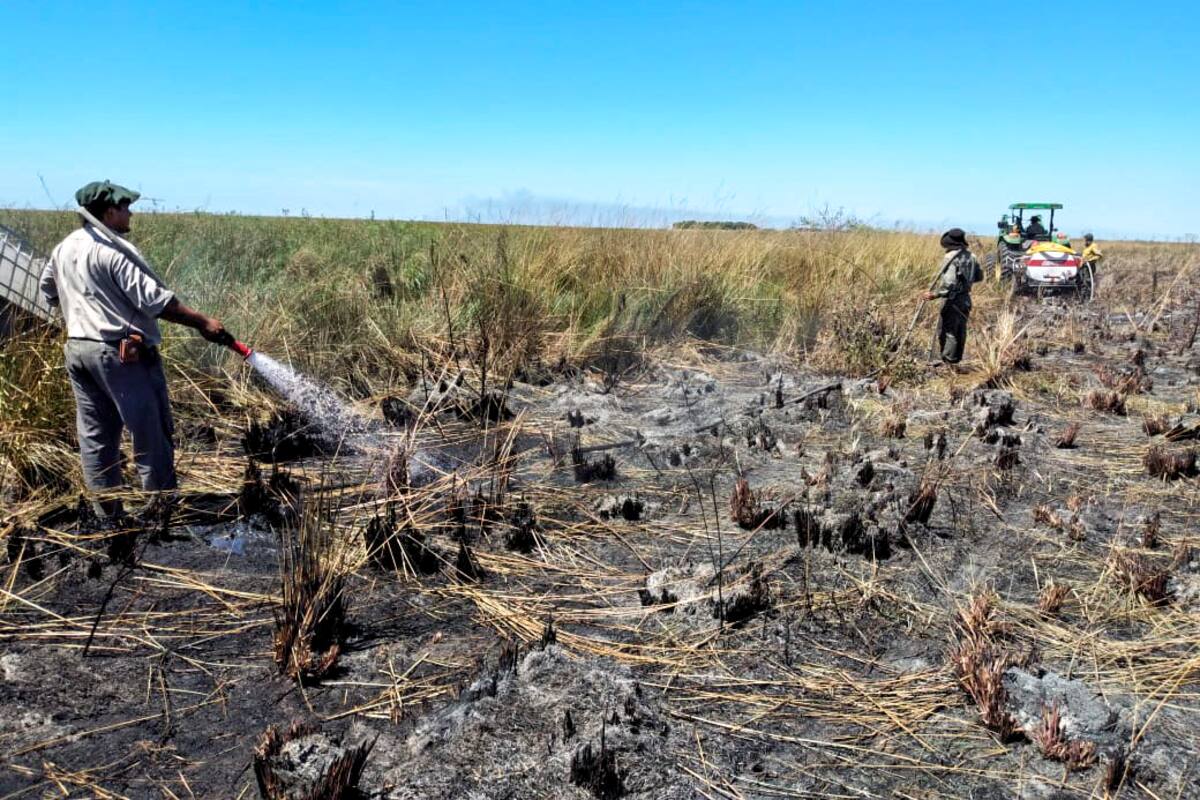 En Iberá aún recuerdan incendios del año pasado, que afectaron unas 840.000 hectáreas del parque nacional