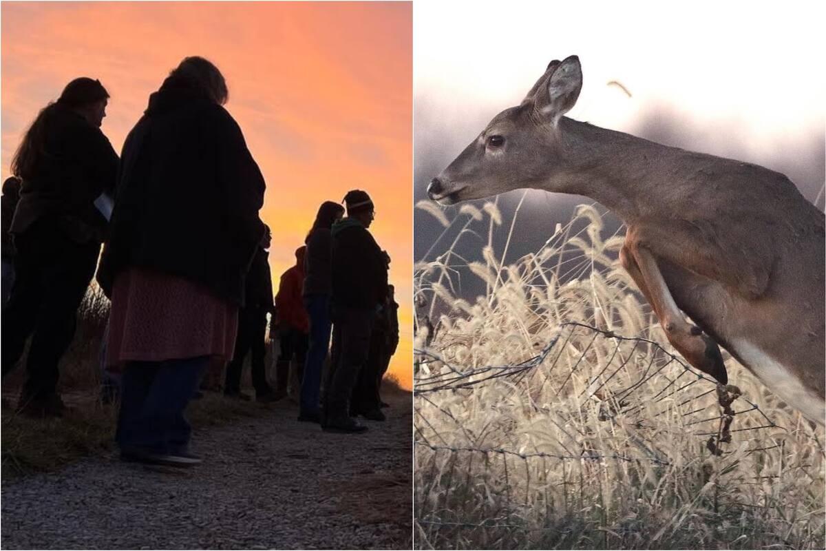 En Illinois se puede participar de caminatas en los parques estatales (Chris Young/Illinois Department of Natural Resources)