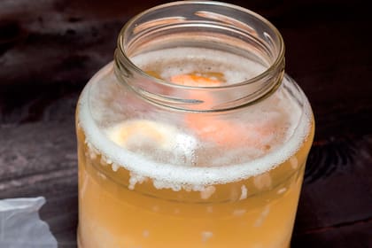 En internet abundan las referencias y los elogios sobre el kéfir.