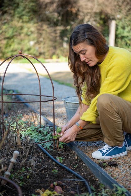 En invierno, el trabajo no se detiene: plantaciones o raleos son fundamentales para que cada planta tenga su lugar