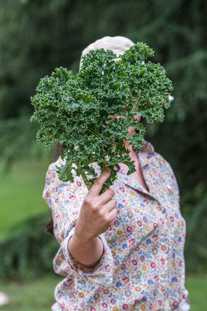 En invierno la huerta entra en otro ritmo y muchas verduras permanecen más tiempo en su punto ideal de cosecha