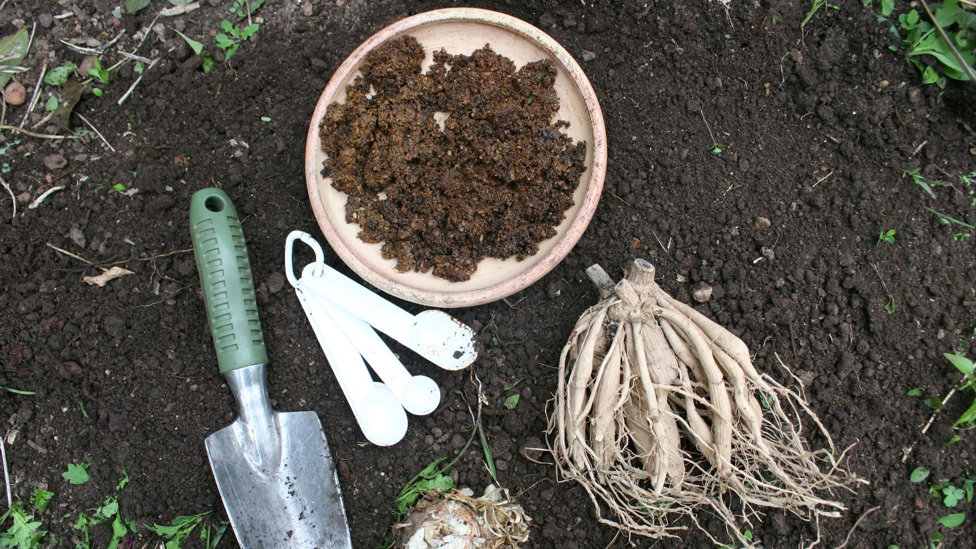 En invierno los hongos patógenos que habitan en el suelo atentan contra nuestras plantas