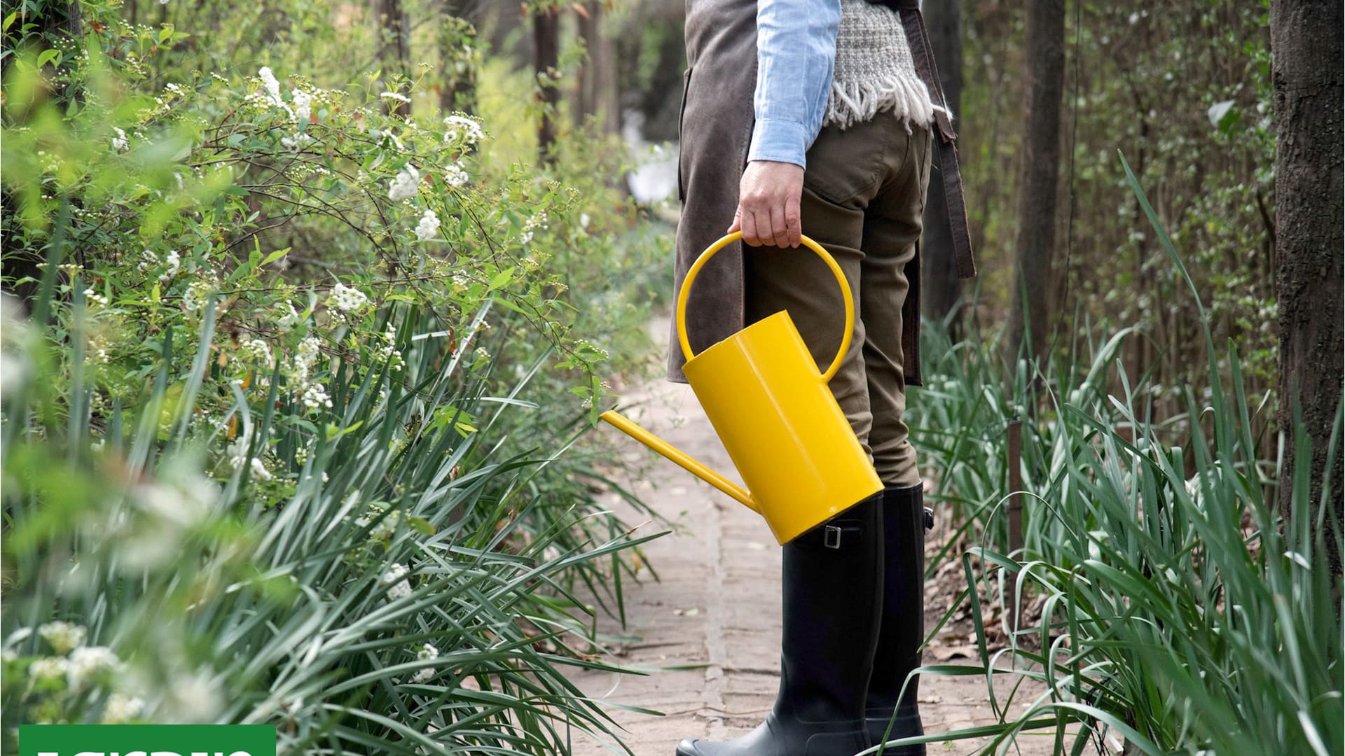 En invierno, mientras el jardín parece quieto, en realidad atraviesa una etapa fundamental