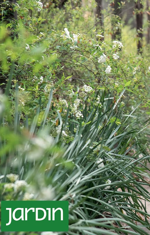 En invierno, mientras el jardín parece quieto, en realidad atraviesa una etapa fundamental