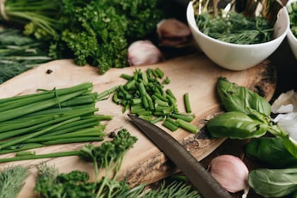 En invierno también se puede cultivar un jardín aromático