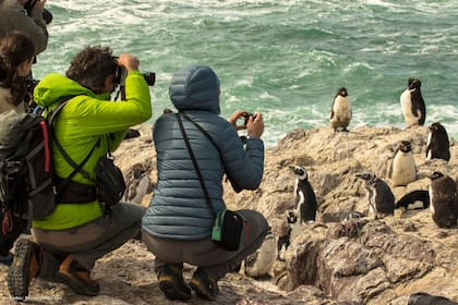 En Isla Pingüinos, cerca de Puerto Deseado, los pingüinos llegan en septiembre y se quedan hasta marzo. También se los puede ver en varias colonias en Puerto Madryn