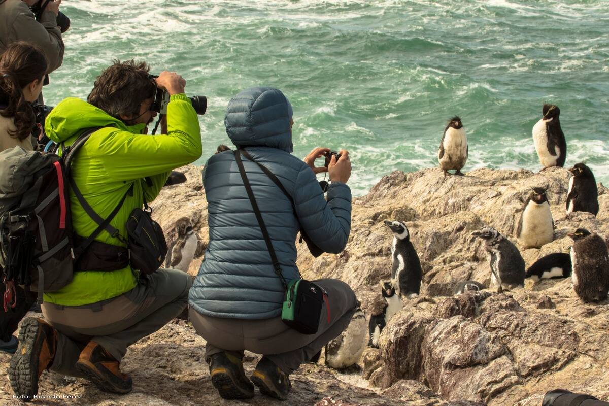 En Isla Pingüinos, cerca de Puerto Deseado, los pingüinos llegan en septiembre y se quedan hasta marzo. También se los puede ver en varias colonias en Puerto Madryn