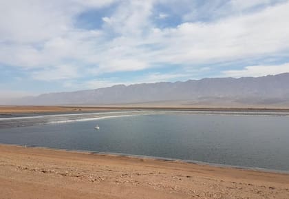 En Israel, las plantas desalinizadoras de agua de mar por ósmosis inversa (SWRO) suministran el 85% del agua doméstica urbana
