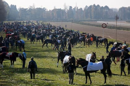 En jornadas normales, San Isidro tiene a cientos de caballos en sus pistas entrenando; una buena parte de sus recursos provienen de la Ley del Turf