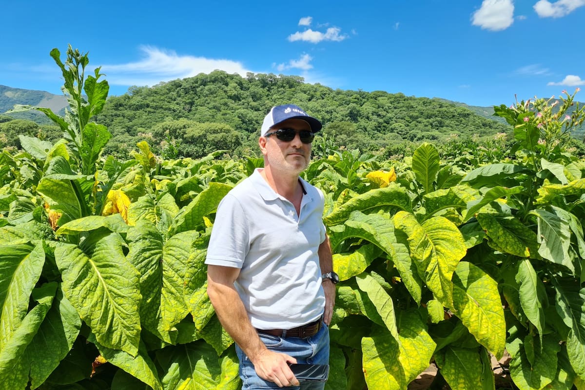 En Jujuy, el productor Jorge Rois delante de su plantación de tabaco