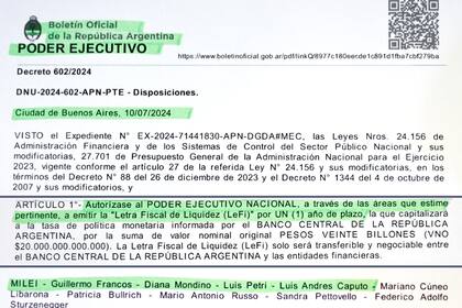 En julio de 2024, se estableció por decreto que se emitirían LEFI por un año de plazo