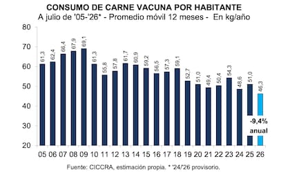 En julio pasado, el promedio móvil de los últimos 12 meses se ubicó en apenas 46,3 kilos por habitante por año, una caída del 9,4% respecto del mismo mes de 2025, equivalente a 4,8 kilos menos por persona
