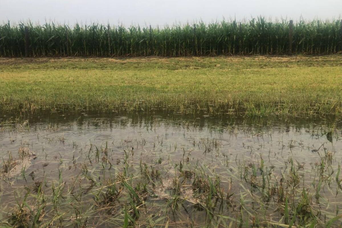 En Justiniano Posse llovió 42 mm. Foto Juan Pablo Ioele