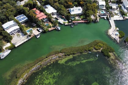 En Key Largo hay todo tipo de actividades disponibles para hacer