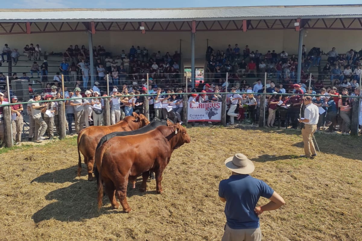 En la 92° Exposición Rural del Chaco, en las instalaciones de Margarita Belén, participaron del concurso ganadero unas 26 escuelas de las provincias de Chaco, Corrientes, Formosa y Santa Fe, y reunieron a más de 400 alumnos y sus docentes a cargo