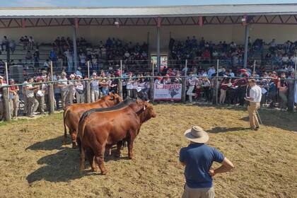 En la 92° Exposición Rural del Chaco, en las instalaciones de Margarita Belén, participaron del concurso ganadero unas 26 escuelas de las provincias de Chaco, Corrientes, Formosa y Santa Fe, y reunieron a más de 400 alumnos y sus docentes a cargo