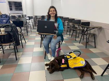 En la facultad