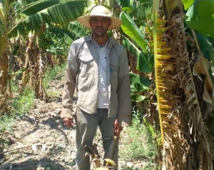 En la actualidad, en la región solo quedan algo más de 1000 hectáreas con 350 productores, cuando en la década del 80 había más de 12.000