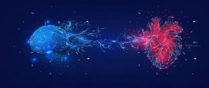 En la actualidad se conoce que una gran proporción de las enfermedades neurodegenerativas (Alzheimer, demencia, deterioros cognitivos) se atribuyen a insuficiencias de la función cardiovascular