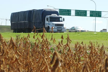 En la Argentina avanza la cosecha de soja