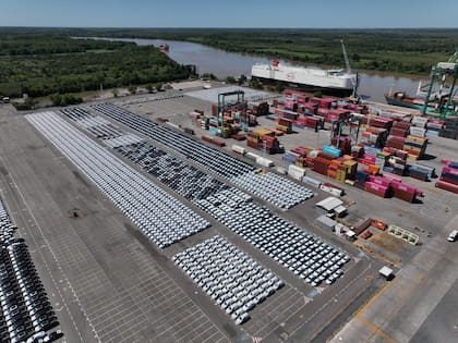 En la Argentina, BYD lleva patentadas apenas 1728 unidades en lo que va del año, un 1,7% de todo el mercado