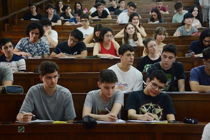 En la Argentina hay 564 alumnos universitarios cada 10.000 habitantes, por encima de Brasil, con 461, y de Chile, con 352
