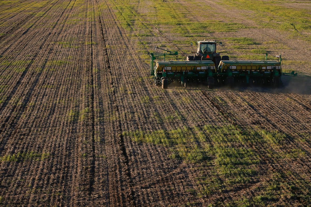 En la Argentina se sembraron en 2018 unos 16 cultivos con una superficie superior a Alemania o Japón