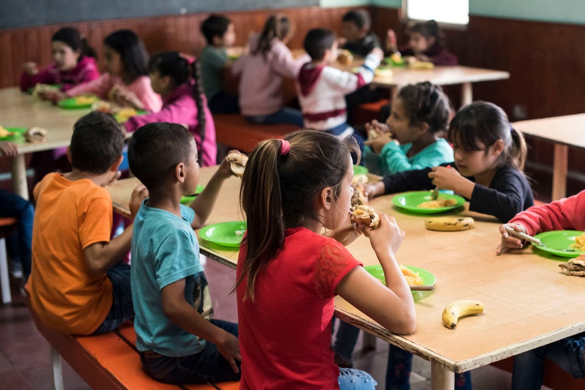 En la Argentina, unos XXX de chicos y chicas reciben alguna de sus comidas diarias en comedores escolares; con las clases suspendidas, desde el Gobierno buscan garantizar su derecho a la alimentación a través de un sistema de viandas y otras medidas