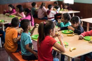 Denuncian irregularidades por más de $100 millones en comedores escolares